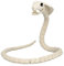 Boland 72417 - Schlangen-Skelett, Größe 102 cm, Attrappe aus Kunststoff, Schlange, Boa, Snake, Dekoration für Halloween, Karneval oder Mottoparty
