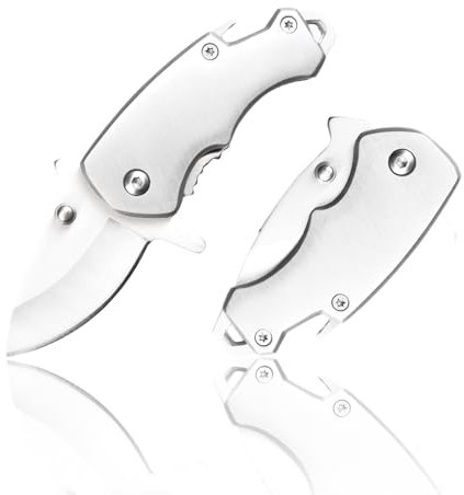 REVIVI Kleines Taschenmesser,4 cm Klinge aus 3Cr13-Edelstahl, EDC-Schlüsselanhängermesser mit Flaschenöffner, Fangriemenöse, Liner Lock und Hosentaschenclip, 57 g, Silber