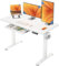 ErGear Höhenverstellbarer Schreibtisch 120 x 60 cm, Elektrischer Schreibtisch Höhenverstellbar mit Schublade & 4 Speicher-Smartpanel, T-Fuß Design für Stabilität, Tischplatte in Mehreren Abschnitten