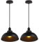 iDEGU 2 Stück Pendelleuchte Industrielle Kronleuchter Deckenleuchte Vintage E27 Retro Metall Deckenlampe für Küche Esszimmer Wohnzimmer Restaurant, Durchmesser 29 cm (Schwarz + Schwarz)