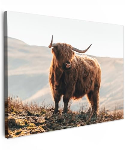 MuchoWow© Leinwandbild 80x60 cm Dekoration Wohnzimmer Bilder Aufhängen Wall Decoration Living Room Wohnungs Deko Moderne Schottisches Hochlandrind - Highland Cow - Tiere - Landschaft - Kuh