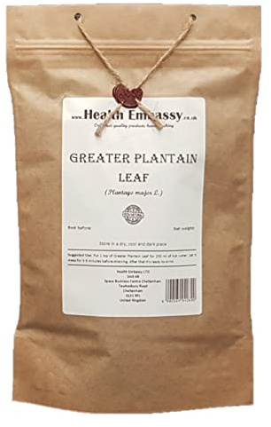 Health Embassy Feuille de Plantain Majeur Tisane | Plantago Major L | Greater Plantain Leaf (100g)