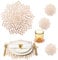 Rose Gold Placemats Set of 16 Charger Plates Place Mats Table Mats & 16 Pcs Coasters Holiday Modern Washable Vinyl Round Placemats Wedding Birthday Kitchen Christmas Dining Table Decor Setting