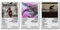 A Set Of 3 Linkin Poster Park Music Rock Band Album Cover Poster Für Zimmer, Ästhetische Leinwand-Wandkunst, Schlafzimmer-Dekor Poster 20x30inch(50x75cm)-3pcs