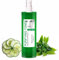 bleumarine Bretania - Grüner Tee Gesichts-Tonic | Unisex Hautpflege | Hydratisierend & Reinigend | Kontrolle für fettige Haut und Akne | Ideal für tägliche Anwendung, Grün, 500 ml 1er Pack