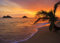STRAND Fototapete VLIES-250x186 cm (2837A)-Natur Landschaft Palmen Meer Sonnenuntergang Karibik Wandtapete-Inkl. Kleister-Vliestapete Bild Dekoration Wand-Dekor Moderne Motiv-Tapete Panorama Poster