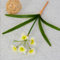 Namzi Künstliche Narzissen-Blumen, Kunstblumen, Hochzeitsdekoration, Gelb, 3 Stück