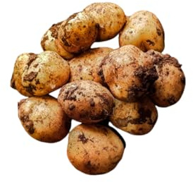 Cyprus Potatoes || 5KG || £19.99 || (5KG)
