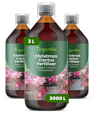 Engrais liquide organique 3x1L pour cactus de Noël – développement floral stable – Organifer