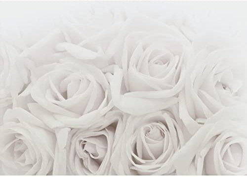 Runa Art Carta da parati fotografica fiori rose Moderno Vello Soggiorno Camera Da Letto Sala - Made in Germany - Grigio 9258010c