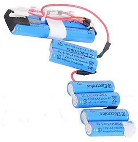 Batterie 12V d'origine Aspirateur 4055132304 ELECTROLUX