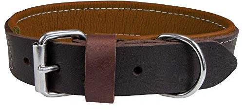 Schecker Moorfeuer Hundehalsband aus Leder braun-Cognac Halsumfang ca. 28-35 cm Handgefertigt Handmade Hochwertig Farbig unterlegt Made in Germany