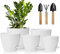 5 Packs Kunststoff Blumentopf Mit Bewässerungssystem, 17.8/16.5/15.2/13.9/12.7cm Selbstbewässerung Übertopf Mit Untersetzer Rund Pflanzkübel Für Innen Und Balkon Garten Pflanzen(Weiß)