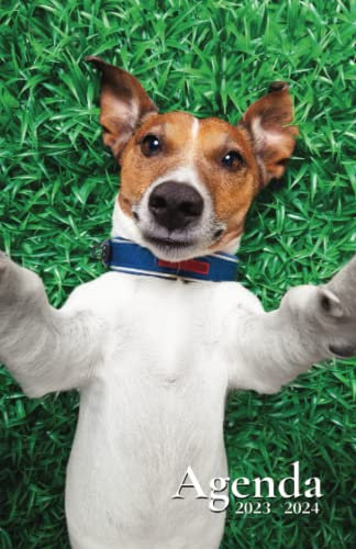 Agenda Scolaire 2023-2024: Journalier au format de poche | 1 jour par page (Septembre à Juillet) Primaire, Collège, Lycée, ...