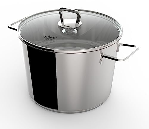 Vivo by Villeroy & Boch CW0528 Stainless Steel Cooking Pot - 24cm/3.2L Casserole Pot, Stockpot with Glass Lid, Induction Hob Suitable Soup Pan, Non-Stick, Twin Stay Cool Handles, Mirror Polish Body