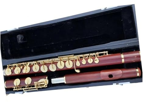 Altflöte Aus Holz, G-Ton, 16 Geschlossene Klappen, Vergoldetes Flöteninstrument Mit Koffer Querflöte kit (Color : Red wood)