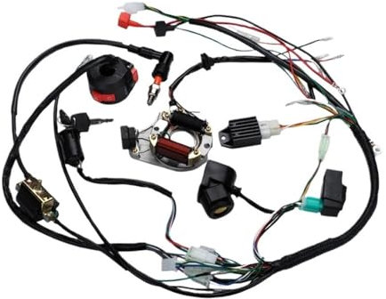 TYUHNLSBN Motorcycle Ignition Coil CDI Box Wire Harness Coil CDI Wiring Set Motorcycle Ignition Tool For 50 70 90 110CC Quad Go Kart Ignition Apparatus Motorbike