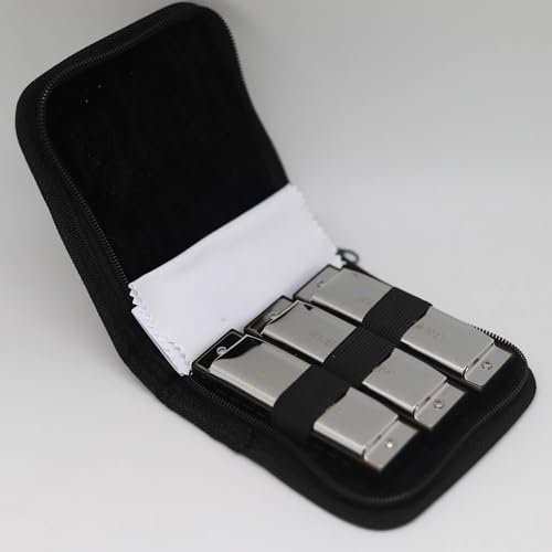 Blues-Mundharmonika-Set Mit 3 Tonarten (A, C, G), 10 Löcher 20 Töne Diatonisch Für Erwachsene, Anfänger, Profis(Silver)