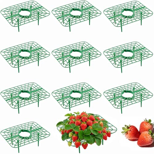 Tronisky 10 Stück Erdbeerreifer, Quadratisch Erdbeerstützen, Erdbeergitter, Abnehmbares Pflanzenregal für Balkon, Garten, Hochbeet, Erdbeerpflanzen schützen vor Schnecken, Fäulnis und Schimmel