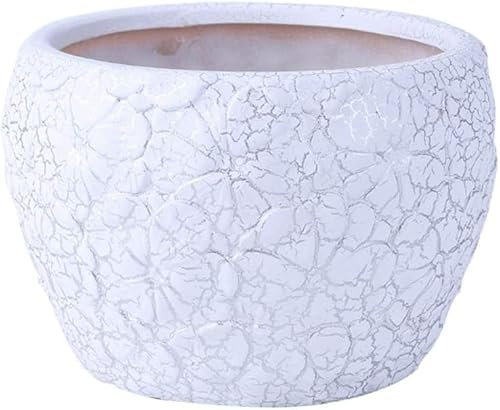 GZSLKSCD Pot de Fleurs en céramique Blanche Pot de Fleurs en céramique à Grain argenté craquelé 17 cm Design en Spirale décoratif Pots de Plantes à Cactus Ronds Extérieur Intérieur Cour Garde
