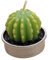 Garneck Luce Da Tè Da Tavolo Candele Decorative Pianta Di Simulazione Da Giardino Candele Cautus Pianta Artificiale Green