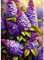 QENSPE Lila Flieder Diamond Painting Set für Erwachsene, 5D Diamond Painting Flieder Diamond Art Anfänger DIY Kristall Strass Diamant Kunst Handwerk für Home Wand Dekor 30x40 cm