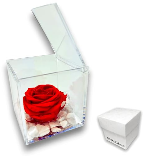 PremiumRose Cube de Rose Rouge Stabilisé 10cm Vraie Rose éternelle | Idée Cadeau Maman, Petite Amie, Anniversaire, Remise de Diplôme (Rouge - A 1010)
