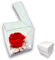 PREMIUM ROSE - Cubo Rosa Stabilizzata Rossa 10 cm con Marmo di Carrara - Rosa Eterna Stabilizzata Idea per San Valentino e Festa Della Mamma Made in Italy - Rosso A 1010