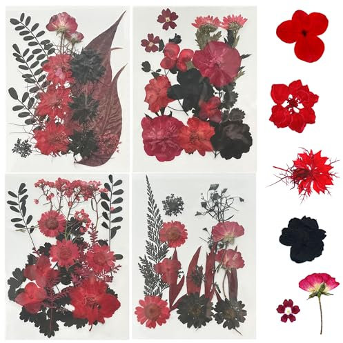 Woohome 4 Packung Getrocknete Blumen Natürliche Trockenblumen für Epoxidharz für Harz, Rot und Schwarz Getrocknete Gepresste Blätter, Natürliche Trockene Blätter für DIY Harz Schmuck Crafts Art