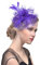 Fascinator Damen, Fascinator Damen Hut Blume Mesh Feder Kopfbedeckung Tea Party Bankett Hüte Cocktail Party Kopfschmuck Frauen Elegant Kirche Hochzeit Haarschmuck Flower Federn Stirnband