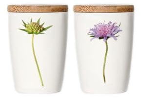 Simply Flowers Tasse normal Acker-Witwenblume