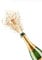 Edible print Champagne bottle bubble Cake topper decoration icing paper up to A4 - uncut (5)
