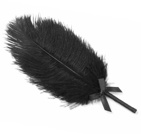 Fuwok Movie Props Duster Soft Ostrich Feather Tickler Soft Fur Brush Tickler Duster Handle Whip Feather Dusters Cleaning Tools Cleaning Feather (Black)