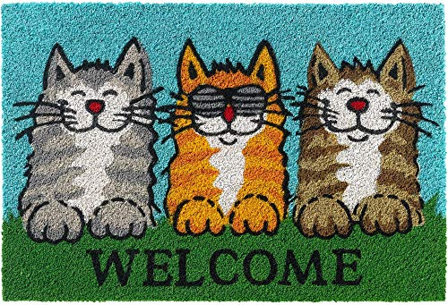 Kokosmatte als innen und aussen-bereich Fußmatte in 40x60 cm - Kokosfaser Türmatte Katzen Welcome Spruch als lustige Sauberlaufmatte - Outdoor Fußabstreifer für Haustür, Flur, Garten