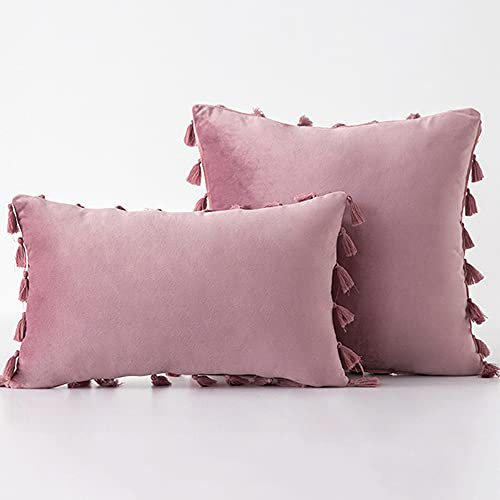 Bestenrose 2er Set Samt Kissenbezug mit Quaste Kissenhülle Dekorative Dekokissen Kissen Couchkissen Sofakissen für Wohnzimmer Schlafzimmer (30x50cm, Pink Lila)