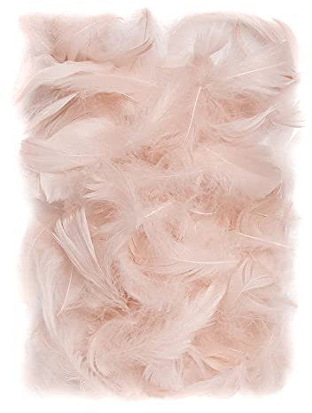 Netuno 150 Stück Deko Federn Nude 10g Flaumfedern Federn Schmuckfedern Vogelfedern Bastelfedern Natur für DIY Basteln Dekoration Ostern Weihnachten Dekofigur