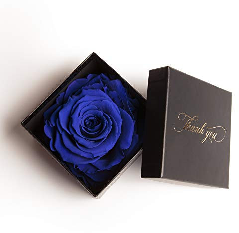 ROSEMARIE SCHULZ Heidelberg 1 konservierte Rose 3 Jahre haltbar Geschenkdose Thank You kleines Danke Geschenk (Blau, 1 Rose)