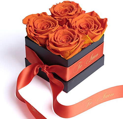 ROSEMARIE SCHULZ Heidelberg Te Amo Geschenk Freundin Rose - Infinity Rosenbox 4 echte Rosen haltbar 3 Jahre 8,5 x 8,5 cm - Valentinstag Frau Geschenk (Te Amo, Orange)