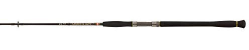 PENN Legion Cat Silver Spinnrute – Waller-Spinnrute mit Fuji Ringen und Fuji Rollenhalter – Inklusive Stofffutteral