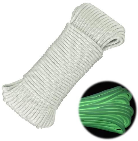 CAUTIOUS 1 PCS Abma Cord Luminosa Paracord 550 4mm 9 Hebras Cuerda de Nylon Tipo Hebras Fluorescente Cuerda Paracaidas Brilla en la Oscuridad Nylon Tipo 30M de Longitud - soportar el Peso MAX. 250kg
