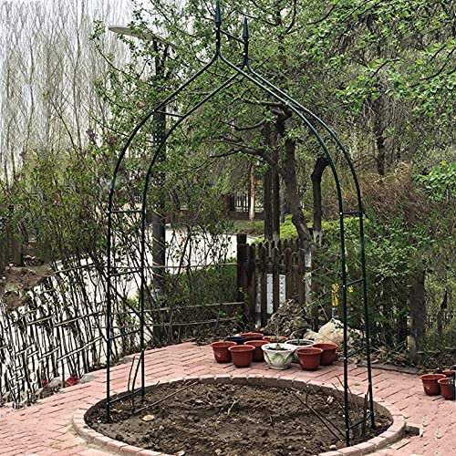 HJLIKE Gartenbogen aus Metall,Rosenbogen,Laube für Kletterpflanzen,Rosenranken,Spalier,Pergola-Arkade mit Anmutiger Kurve,Kletterhilfe,Wetterfest,Hochzeitsrasen