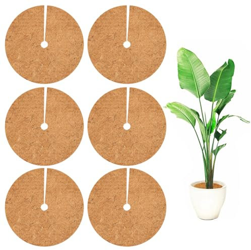 Disco in Fibra di Cocco per Protezione Piante in Vaso,Diserbante Erbacce Telo Pacciamatura Fibra Cocco per Orto, Protezione Alberi dal Freddo e Pioggia Proteggono le Radici Delle Piante (20cm 6pcs)