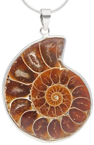 Ammonit Anhänger 2-3 cm Fossil Kette 925 Silber Öse Naturstein Damen | Echtes Fossil mit 925er Silberöse | Inkl. Baumwollband | Ideal als Geschenk