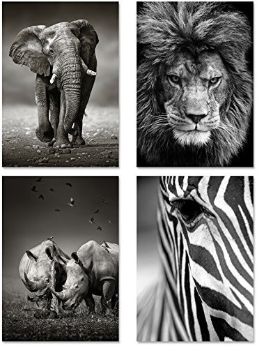 PICSonPAPER Poster 4er-Set Wildlife, ungerahmt DIN A4, Dekoration fürs Wohnzimmer oder Büro, Dekoposter, Kunsstdruck, Wandbild, Elefant, Löwe, Nashorn, Zebra, schwarz Weiss, Geschenk (Format DIN A4)