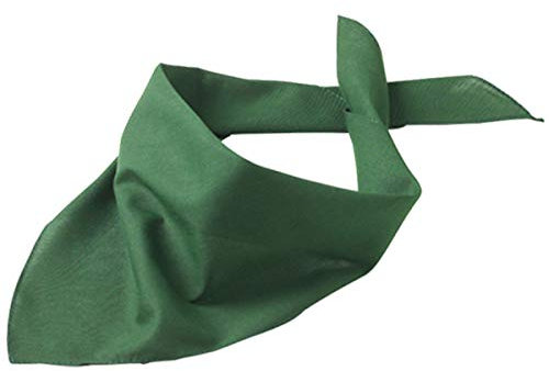 Druckecke Hundehalstuch mit Pfoten und Wunschname Bestickt | 18 Farben (Dunkelgrün)