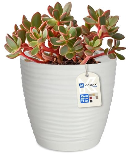 KADAX Pot de Fleurs en Plastique avec Soucoupe, Cache-Pot Moderne Ornée d'un Élégant Motif Ondulé pour Une Décoration Florale (Ronde, Blanc, 15 cm)