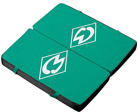 SV Werder Bremen Sitzkissen Logo