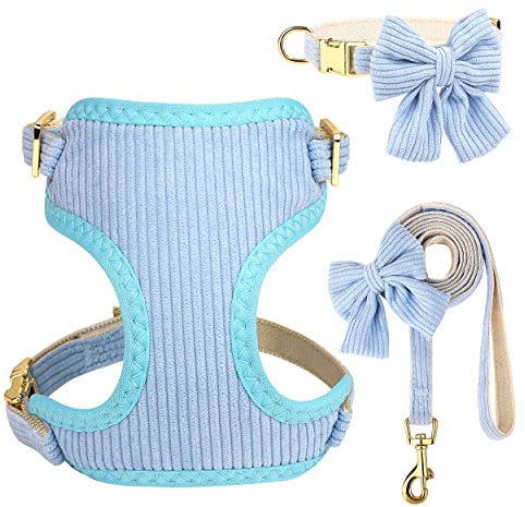 Didog süße Halsband Harness und Leine Set für kleine Hunde, verstellbare Halsbänder und Leinen mit Fliege, atmungsaktive weiche Mesh-Polsterverkleidung für kleine Hunde beim Gassi gehen, Blau, S