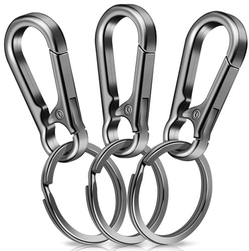 3 Stück Karabiner Schlüsselanhänger,Caianwin Karabinerhaken Klein Metall Schlüsselkarabiner,Schlüsselring mit Karabiner für Aufhängen im Rucksack, Autoschlüssel