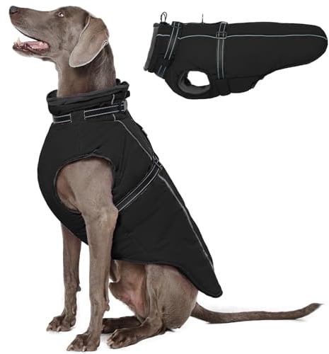 Lelepet Hundemantel für den Winter, Warme Hundejacke mit integriertem Geschirr, Winddicht Mantel mit Fleece Gefüttert für Hunde, Reflektierende Hundeweste für Kaltes Wetter, Schwarz XL